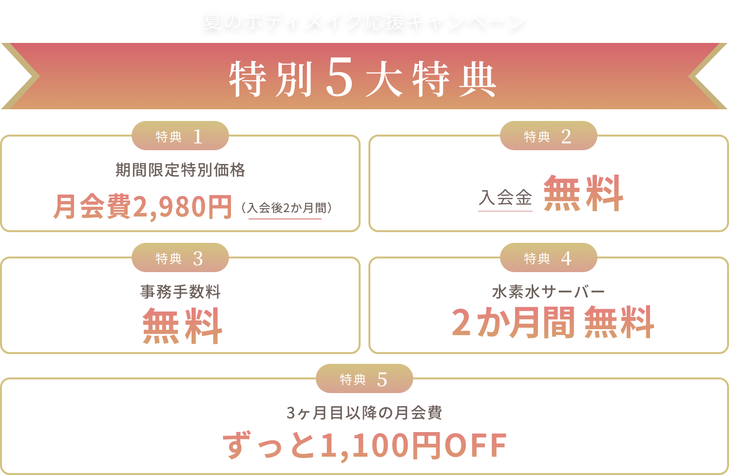 広告画像